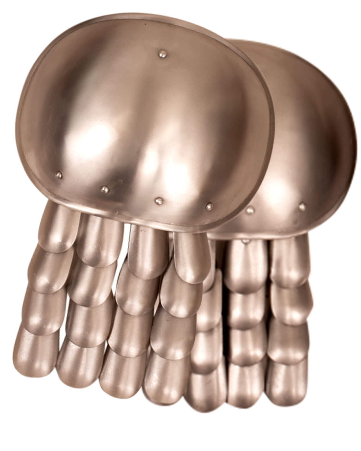 Plattenschultern mit Schuppen Restposten